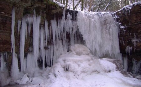 Pleistocene: how the last glacial era changed the world