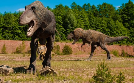 The Rise and Fall of the Age of Dinosaurs