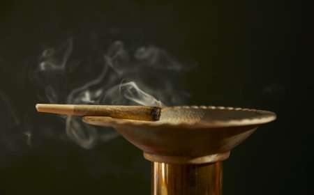 The racist motivations behind cannabis prohibition