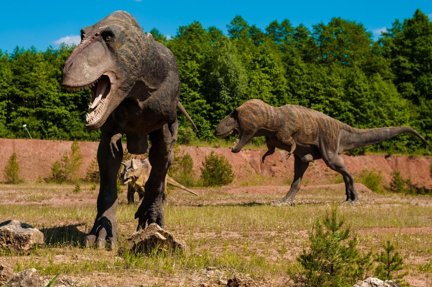 The Rise and Fall of the Age of Dinosaurs