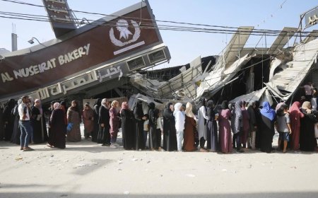 Israel: Starvation Used as Weapon of War in Gaza