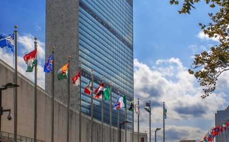 UN: World Leaders Should Act to End Rights Crises