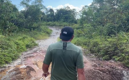 Malaysia: Wood Products Tainted by Abuse, Deforestation